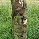 West Balgrochan Marsh