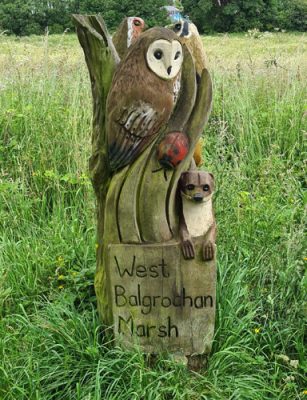 West Balgrochan Marsh
